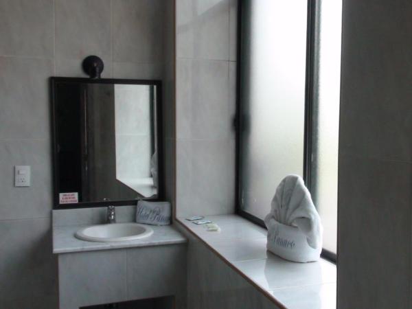 Hotel Panuco : photo 6 de la chambre suite avec baignoire spa