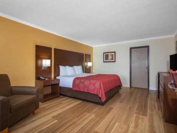 Ramada by Wyndham Tampa Westshore Airport South : photo 2 de la chambre chambre king avec vue sur la cour - non-fumeurs