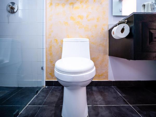 Hotel DC Boutique & SPA : photo 5 de la chambre chambre supérieure