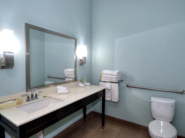 Holiday Inn Express & Suites Austin South, an IHG Hotel : photo 3 de la chambre suite - adaptée aux personnes à mobilité réduite et malentendantes