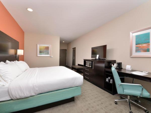 Holiday Inn Express & Suites Austin South, an IHG Hotel : photo 4 de la chambre chambre lit king-size supérieure - non-fumeurs