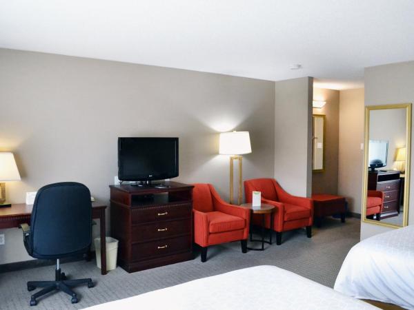 Holiday Inn Express Red Deer, an IHG Hotel : photo 1 de la chambre chambre standard avec 2 lits queen-size