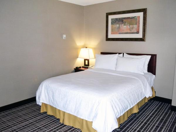 Holiday Inn Express Red Deer, an IHG Hotel : photo 5 de la chambre suite lit king-size – non-fumeurs