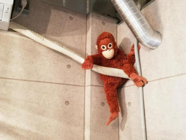 GUEST HOUSE KISHINOSATO : photo 4 de la chambre chambre double avec lit d'appoint