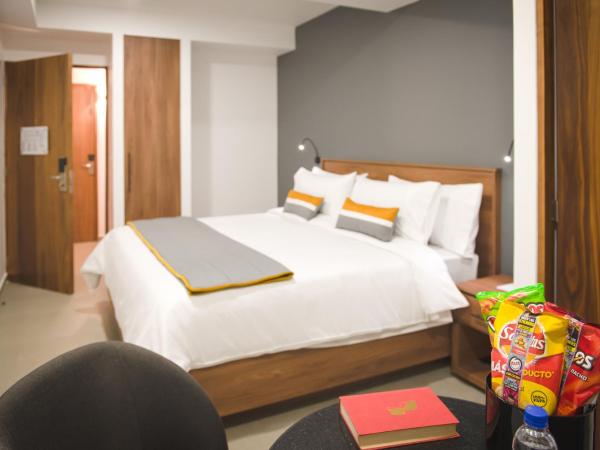 Hotel Boutique Parque Centro : photo 4 de la chambre suite deluxe