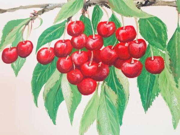 Agriturismo La Perlara - Adults Only : photo 6 de la chambre grande chambre double