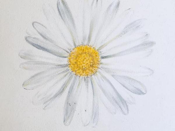 Agriturismo La Perlara - Adults Only : photo 6 de la chambre chambre double - vue sur vallée