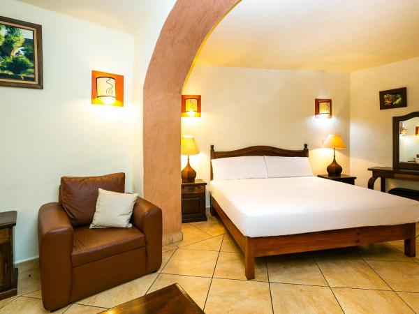 Hotel Casa del Virrey & Suites : photo 7 de la chambre suite junior