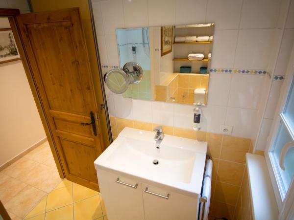 Gite **** des Bains : photo 6 de la chambre appartement avec douche