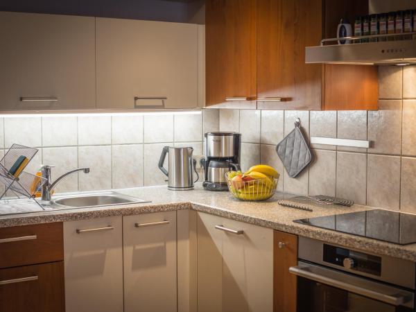 Gite **** des Bains : photo 5 de la chambre appartement avec douche