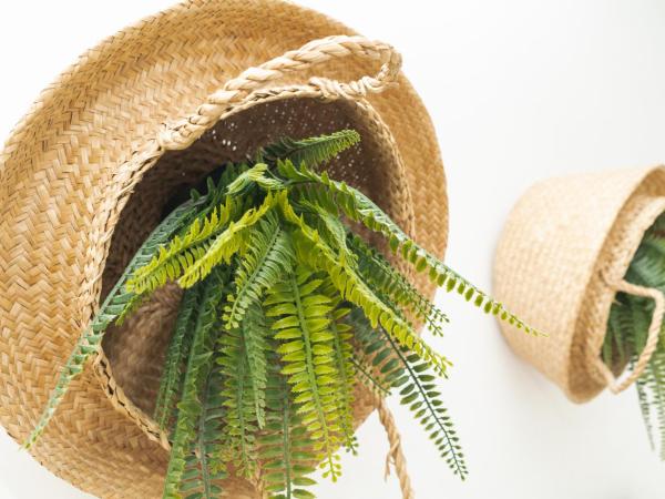 Picnic Dreams Boutique Hostel : photo 5 de la chambre chambre double ou lits jumeaux