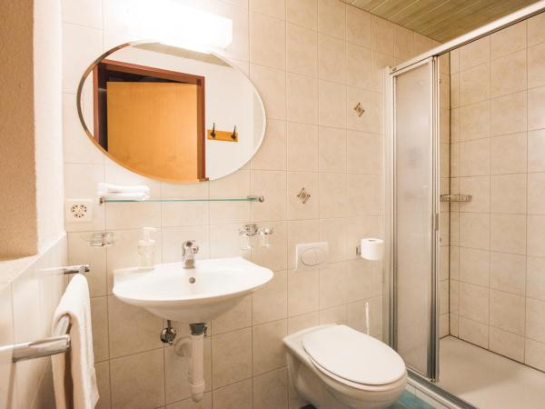 Hotel Brienzerburli : photo 1 de la chambre chambre double standard