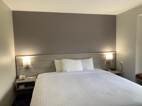Microtel Inn by Wyndham Charlotte Airport : photo 8 de la chambre chambre lit king-size deluxe - non-fumeurs 