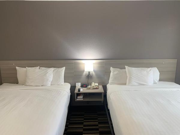Microtel Inn by Wyndham Charlotte Airport : photo 5 de la chambre chambre 2 lits queen-size - non-fumeurs