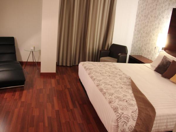 Hotel Gran Ultonia : photo 4 de la chambre suite junior