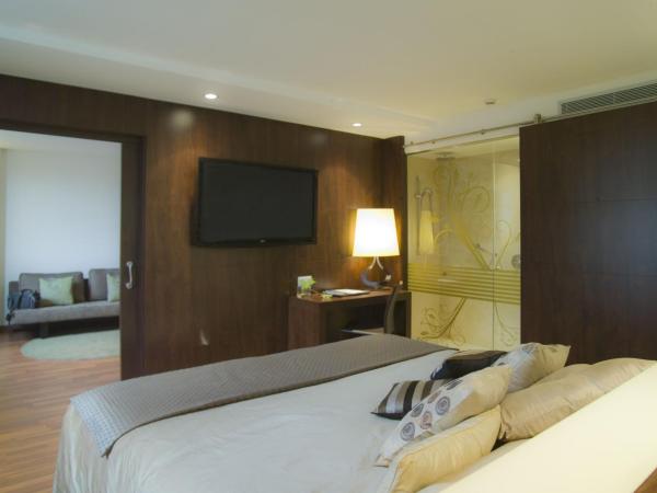 Hotel Gran Ultonia : photo 2 de la chambre suite exécutive
