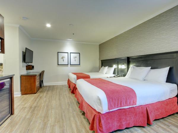 Strathcona Hotel : photo 3 de la chambre chambre avec 2 grands lits queen-size