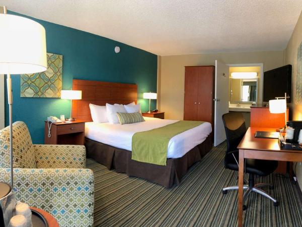 Best Western On The Bay Inn & Marina : photo 5 de la chambre chambre lit king-size avec baignoire - accessible aux personnes à mobilité réduite - non-fumeurs