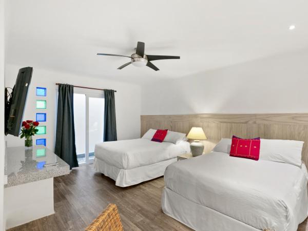 Casa Tortugas Boutique Hotel, An Authentic Hidden Gem in Cancun : photo 4 de la chambre suite 2 chambres - vue sur lagon