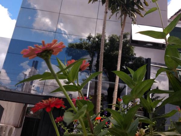 Eilat. אילת Pousada Bacacheri : photo 8 de la chambre chambre double