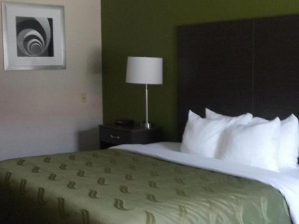 Quality Inn Little Creek : photo 6 de la chambre chambre lit king-size - fumeurs 