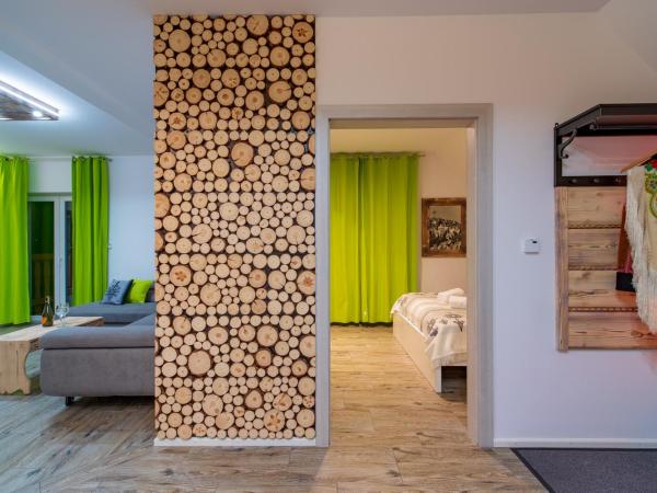 Apartamenty u Gąsieniców Zakopane : photo 5 de la chambre appartement avec vue sur la montagne
