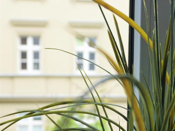 Explorer Hostel & Apartment Stare Miasto OLD TOWN 24H #don't be a tourist, be an Explorer! : photo 6 de la chambre chambre lits jumeaux avec salle de bains commune