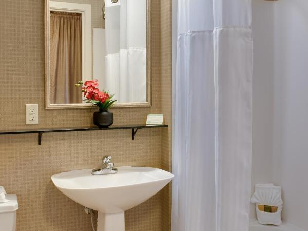 The Mediterranean Inn : photo 4 de la chambre chambre attribuée à l'arrivée