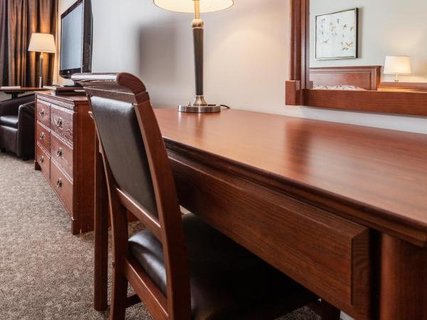 Adam's Airport Inn : photo 3 de la chambre chambre avec 2 grands lits queen-size