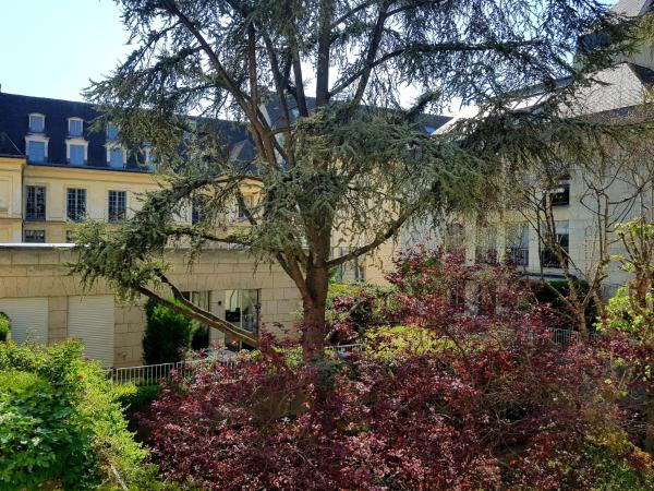 Assia & Nathalie - Luxury B&B MARAIS : photo 3 de la chambre chambre lit queen-size avec baignoire spa