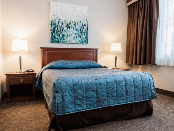 Adam's Airport Inn : photo 2 de la chambre chambre lit queen-size