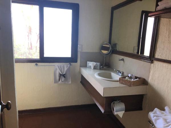 Villa San Jose Hotel & Suites : photo 8 de la chambre chambre lit king-size deluxe - vue sur jardin