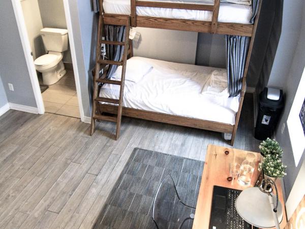 The Clarence Park : photo 3 de la chambre lit dans dortoir pour femmes de 4 lits