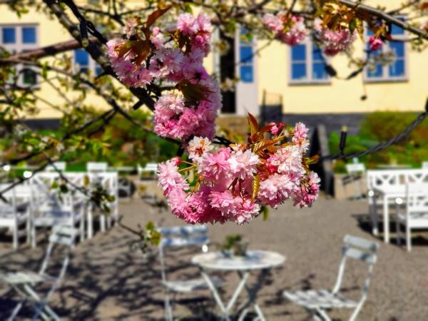 Riddersviks Herrgård : photo 8 de la chambre chambre simple standard