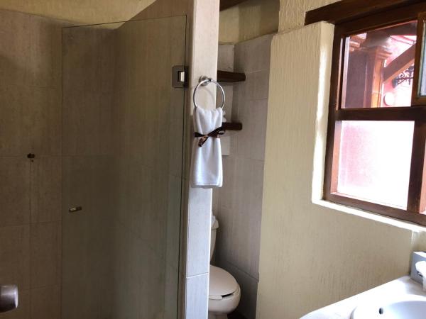 Villa San Jose Hotel & Suites : photo 7 de la chambre chambre lit king-size deluxe - vue sur ville