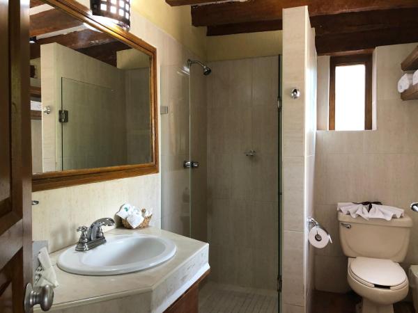 Villa San Jose Hotel & Suites : photo 8 de la chambre chambre lit king-size deluxe - vue sur ville