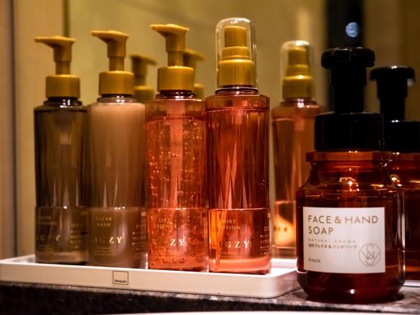 HOTEL VARKIN ANNEX : photo 5 de la chambre chambre lit king-size - vue sur jardin