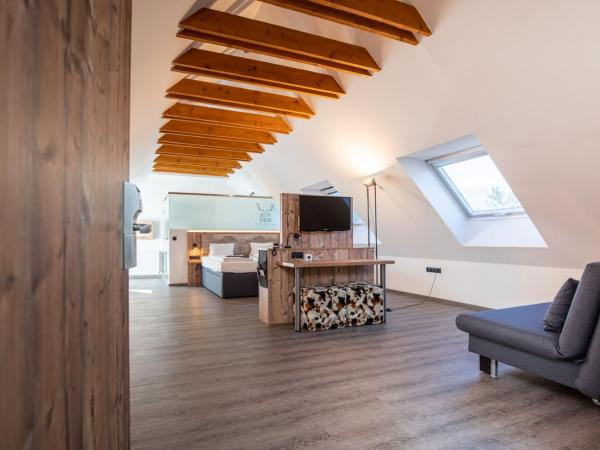 BinderS Budget City-Mountain Hotel : photo 5 de la chambre suite