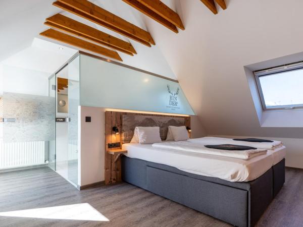 BinderS Budget City-Mountain Hotel : photo 7 de la chambre suite