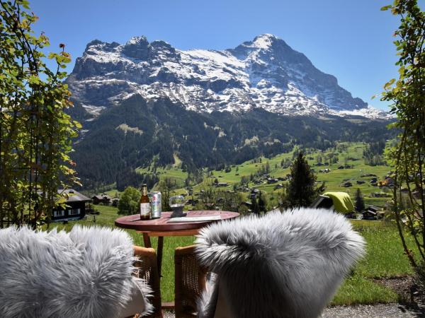 Hotel Cabana : photo 2 de la chambre chambre double supérieure enzian avec accès au jardin - vue sur eiger