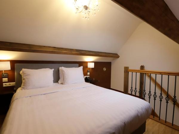 Chasse Hotel : photo 2 de la chambre chambre double en duplex