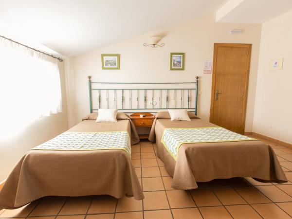 Hostal El Gallo : photo 4 de la chambre chambre lits jumeaux avec salle de bains privative