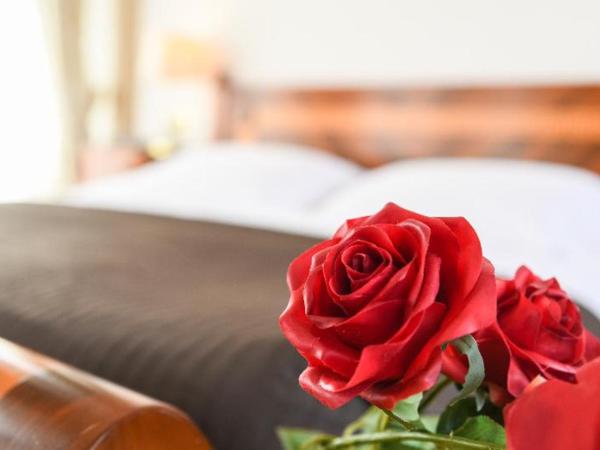 Hotel Vittoria : photo 4 de la chambre room #4187143