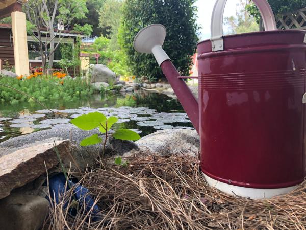 Casa di Floumy : photo 5 de la chambre studio