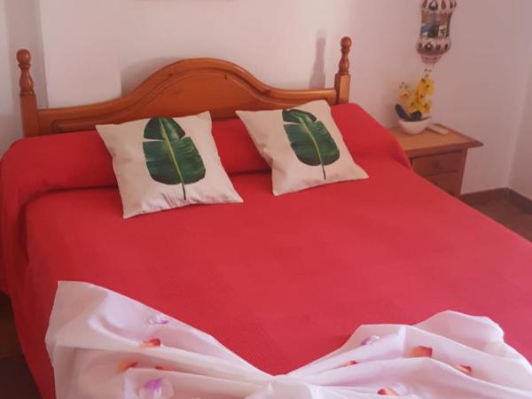 El Tio Mateo : photo 1 de la chambre chambre double ou lits jumeaux - vue sur mer