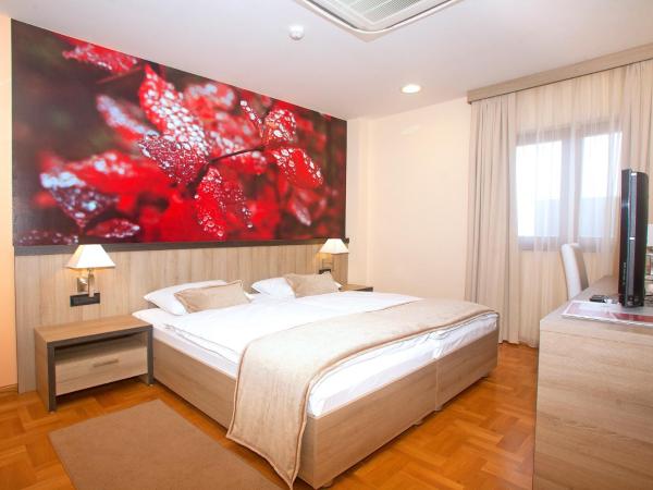 Hotel Calypso : photo 1 de la chambre chambre double ou lits jumeaux