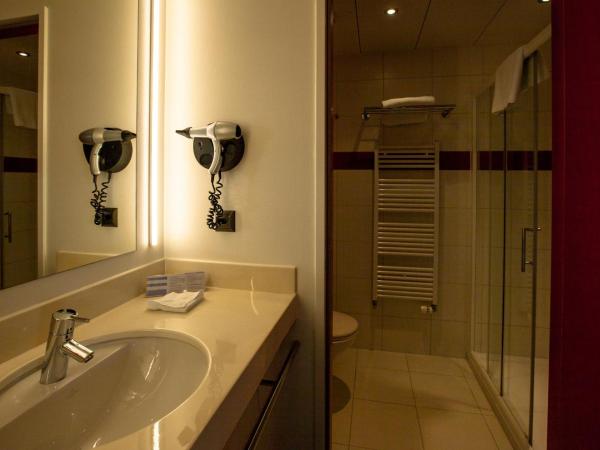 Airport Hotel Basel - Convenient & Friendly : photo 7 de la chambre chambre simple affaires 