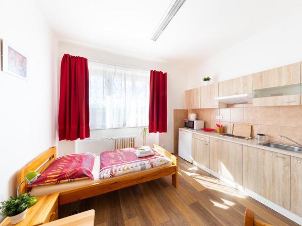 Penziony Beneš : photo 2 de la chambre studio