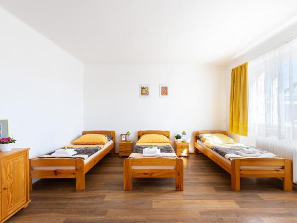 Penziony Beneš : photo 1 de la chambre studio triple standard