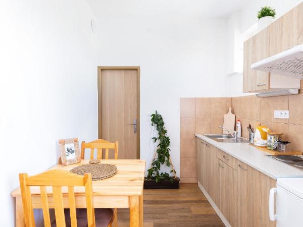 Penziony Beneš : photo 2 de la chambre studio standard